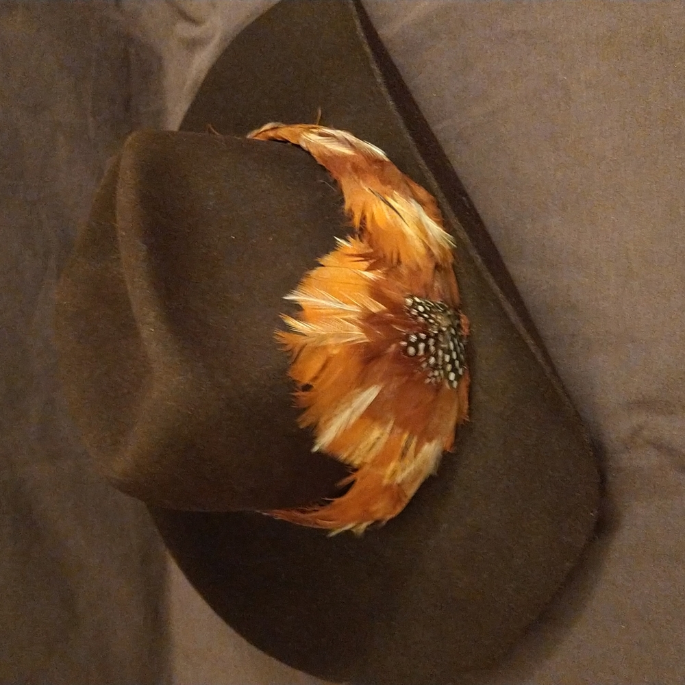 Men's Dark Brown Cowboy Hat